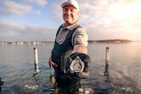 Oyster Farm And Tasting Tour With Hotel Pick-up And Return From Port Lincoln - Tourism Guide 3