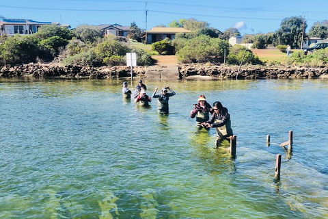 Oyster Farm And Tasting Tour With Hotel Pick-up And Return From Port Lincoln - Tourism Guide 6