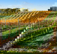 Victor Harbor with McLaren Vale Wine Region Tour from Adelaide - Tourism Guide
