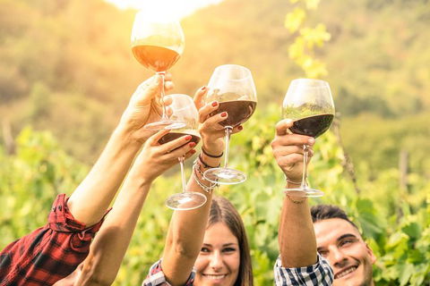 Adelaide Hills Day Tour. Winery Cellar Doors - Tourism Guide 6