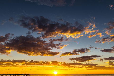 Adelaide Ocean Safari - Twilight Safari - Tourism Guide 1