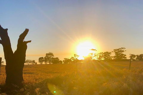 Fleurieu Explorer 3 Day 2 Night Cycle Camping Self Guided Tour - Tourism Guide 4