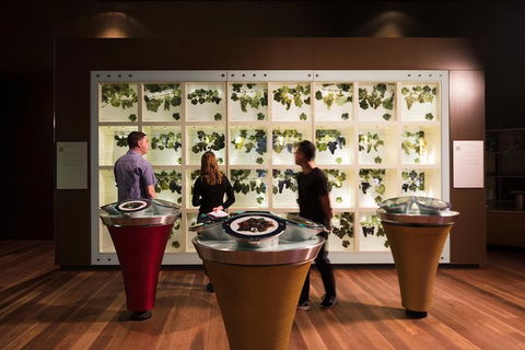Australian Wine Discovery Tour With Tastings - Tourism Guide 5