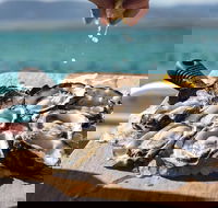 Experience Coffin Bay Short and Sweet Oyster Farm Tour - Tourism Guide