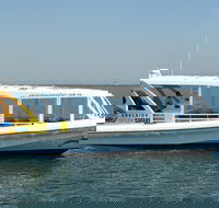 Adelaide Ocean Safari - Wild Dolphin Safari - Tourism Guide