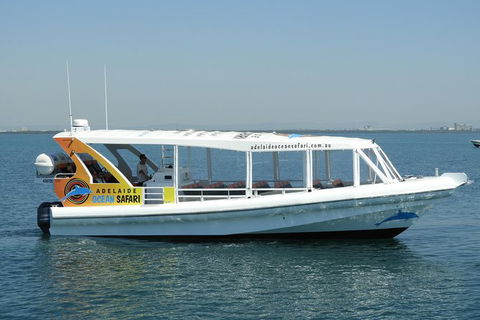 Adelaide Ocean Safari - Wild Dolphin Safari - Tourism Guide 0