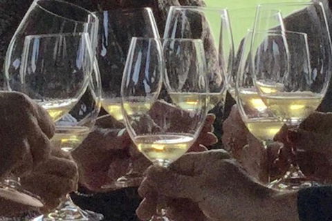 Luxury Private Mclaren Vale Wine Tour - Tourism Guide 1