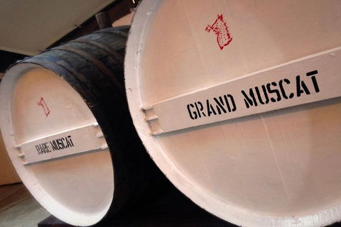 Luxury Private Mclaren Vale Wine Tour - Tourism Guide 6