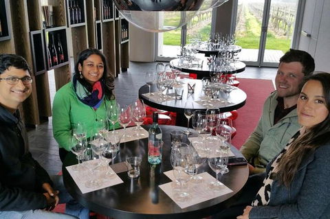 Luxury Private Mclaren Vale Wine Tour - Tourism Guide 3