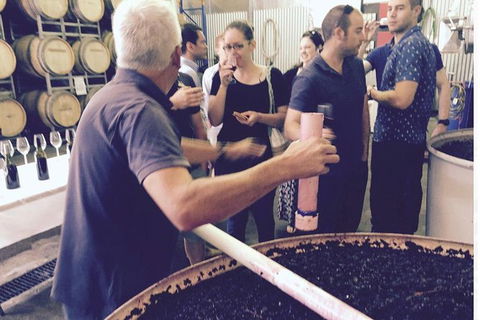 Luxury Private Mclaren Vale Wine Tour - Tourism Guide 7