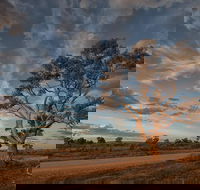 Flinders Ranges Photography Tour - Tourism Guide