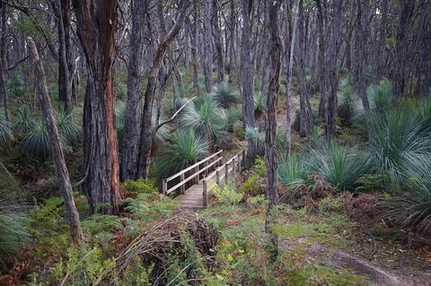 Fleurieu Explorer - Full-Day Tour - Tourism Guide 1