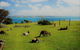 Fleurieu Explorer - Full-Day Tour - thumb 0