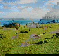 Fleurieu Explorer - Full-Day Tour - Tourism Guide