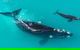 Fleurieu Explorer - Full-Day Tour - thumb 11
