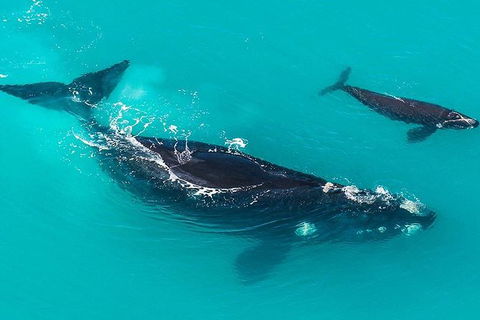 Fleurieu Explorer - Full-Day Tour - Tourism Guide 11