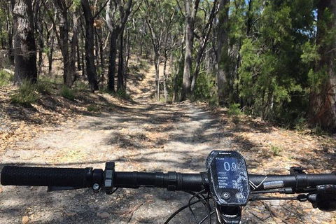 Mt Lofty Wine Wheels & Wildlife - Tourism Guide 1