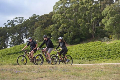 Mt Lofty Wine Wheels & Wildlife - Tourism Guide 4