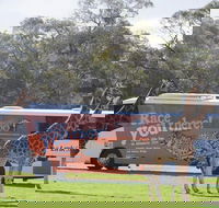Monarto Safari Park Bus transfers from Adelaide City - Tourism Guide
