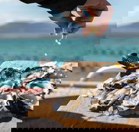Experience Coffin Bay Oyster Farm and Bay Tour - Tourism Guide