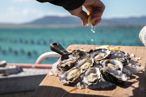 Experience Coffin Bay Oyster Farm And Bay Tour - Tourism Guide 0