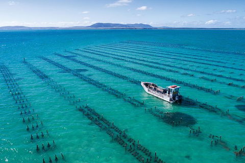 Experience Coffin Bay Oyster Farm And Bay Tour - Tourism Guide 1