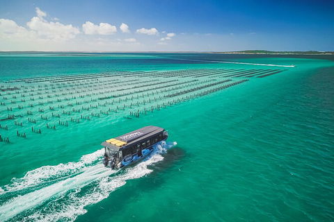 Experience Coffin Bay Oyster Farm And Bay Tour - Tourism Guide 2