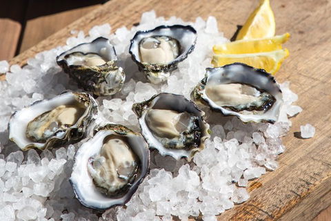 Experience Coffin Bay Oyster Farm And Bay Tour - Tourism Guide 3