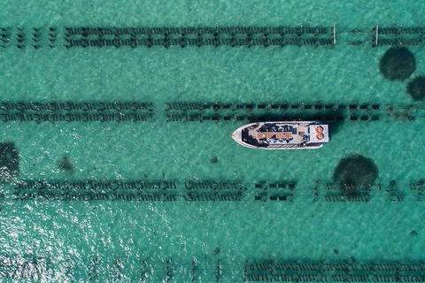Experience Coffin Bay Oyster Farm And Bay Tour - Tourism Guide 4
