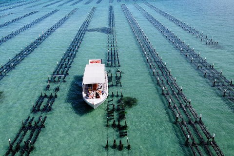 Experience Coffin Bay Oyster Farm And Bay Tour - Tourism Guide 8
