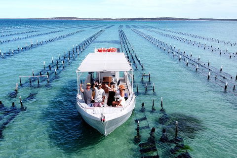 Experience Coffin Bay Oyster Farm And Bay Tour - Tourism Guide 12