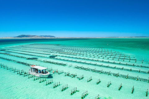 Experience Coffin Bay Oyster Farm And Bay Tour - Tourism Guide 7