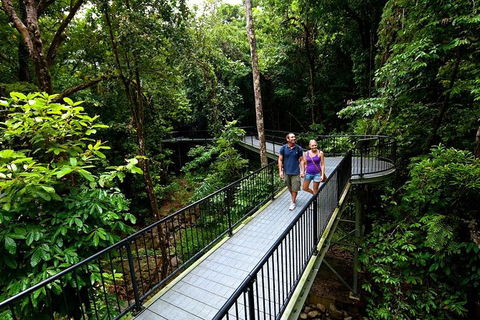 5-Day Best Of Cairns With Daintree, Kuranda, And Great Barrier Reef - Tourism Guide 4