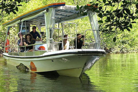 5-Day Best Of Cairns With Daintree, Kuranda, And Great Barrier Reef - Tourism Guide 8