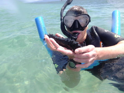 Great Barrier Reef Sailing And Snorkeling Cruise From Port Douglas - Tourism Guide 4