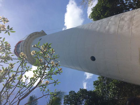 Great Barrier Reef Sailing And Snorkeling Cruise From Port Douglas - Tourism Guide 2