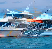 Poseidon Outer Great Barrier Reef Snorkeling and Diving Cruise from Port Douglas - Tourism Guide