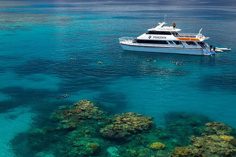 Poseidon Outer Great Barrier Reef Snorkeling And Diving Cruise From Port Douglas - Tourism Guide 2