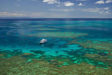 Poseidon Outer Great Barrier Reef Snorkeling And Diving Cruise From Port Douglas - Tourism Guide 5