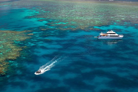 Poseidon Outer Great Barrier Reef Snorkeling And Diving Cruise From Port Douglas - Tourism Guide 9