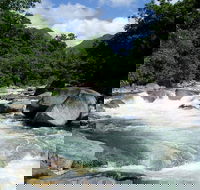 Daintree Rainforest Cape Tribulation Mossman Gorge in a day - Tourism Guide