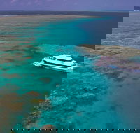 Silversonic Outer Great Barrier Reef Dive and Snorkel Cruise from Port Douglas - Tourism Guide
