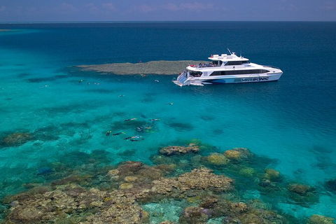 Silversonic Outer Great Barrier Reef Dive And Snorkel Cruise From Port Douglas - Tourism Guide 2