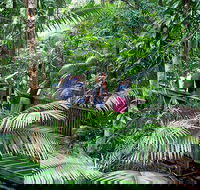 Full Day Daintree Rainforest and Mossman Gorge Tour - Tourism Guide