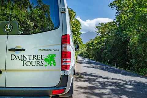 Full Day Daintree Rainforest And Mossman Gorge Tour - Tourism Guide 4