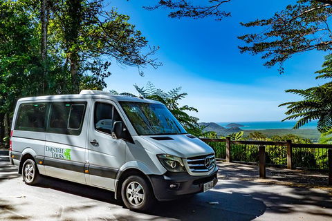 Full Day Daintree Rainforest And Mossman Gorge Tour - Tourism Guide 6