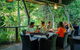 Full Day Daintree Rainforest And Mossman Gorge Tour - thumb 8