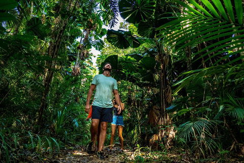 Full Day Daintree Rainforest And Mossman Gorge Tour - Tourism Guide 12