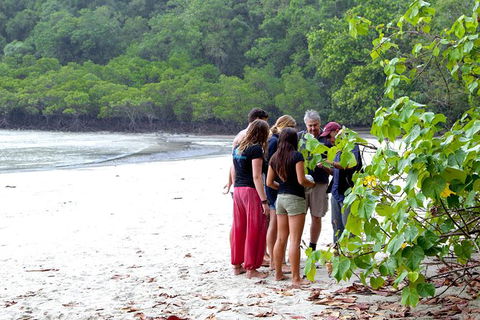 Full Day Daintree Rainforest And Mossman Gorge Tour - Tourism Guide 7