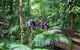 Full Day Daintree Rainforest And Mossman Gorge Tour - thumb 2